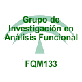 Logo of Investigation Group FQM133